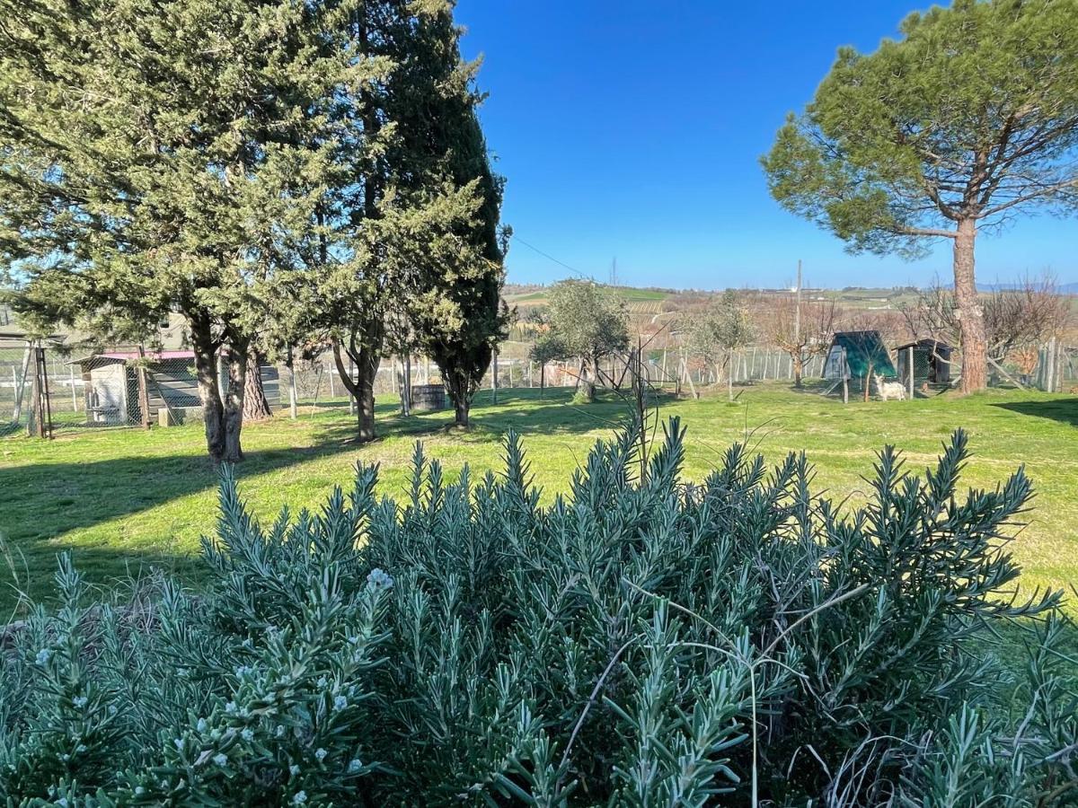 Agriturismo Con Cucina Il Favaio Paciano エクステリア 写真