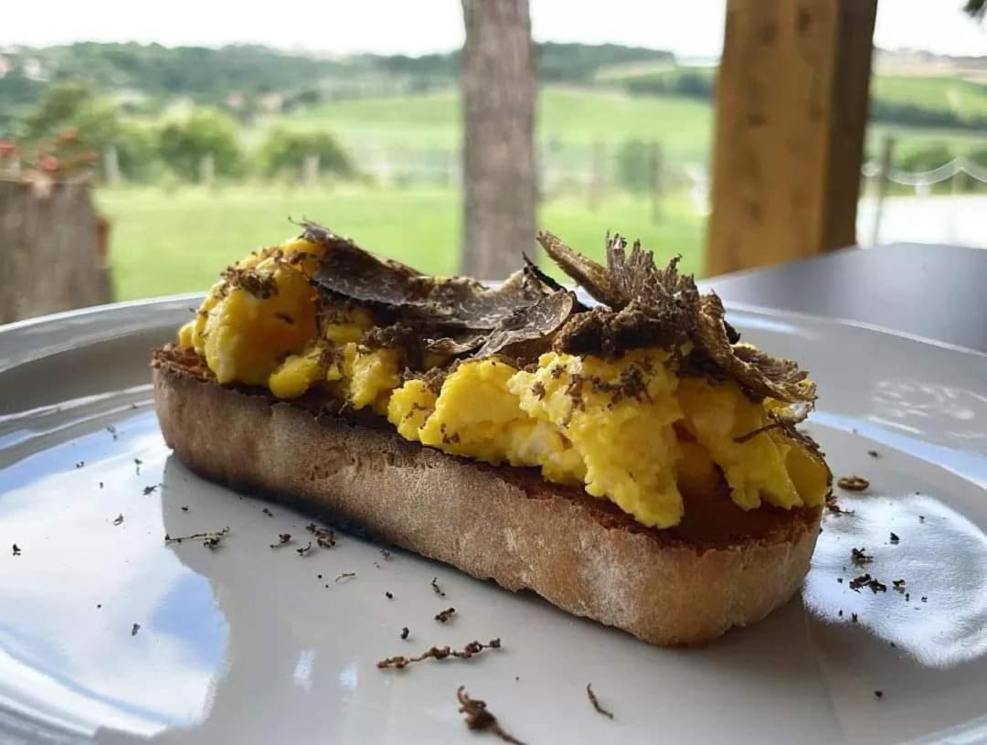 Agriturismo Con Cucina Il Favaio Paciano エクステリア 写真