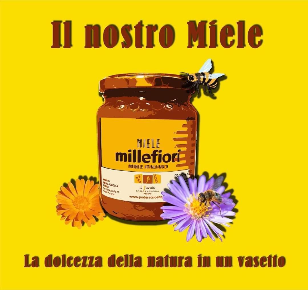 Agriturismo Con Cucina Il Favaio Paciano エクステリア 写真