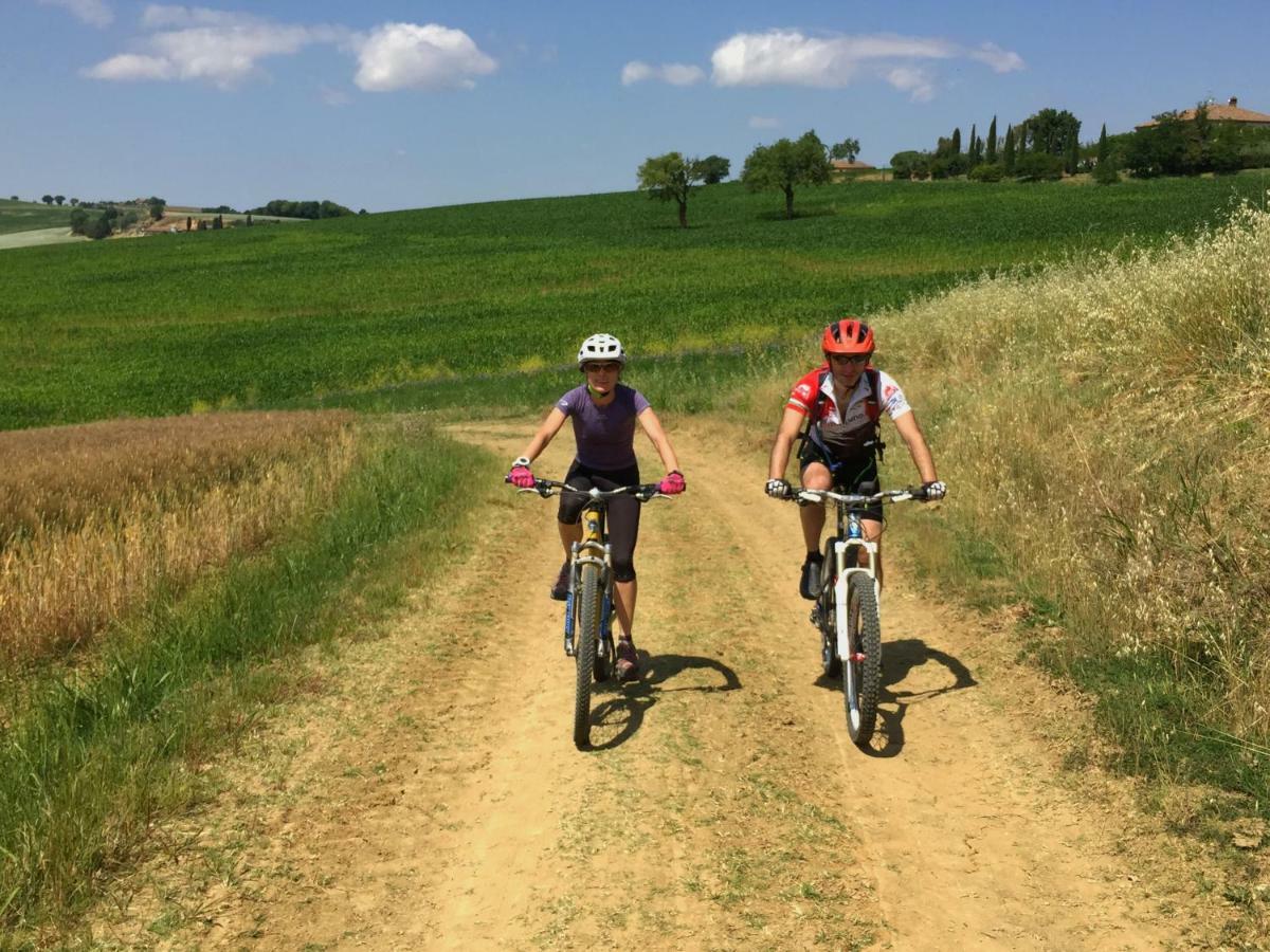 Agriturismo Con Cucina Il Favaio Paciano エクステリア 写真