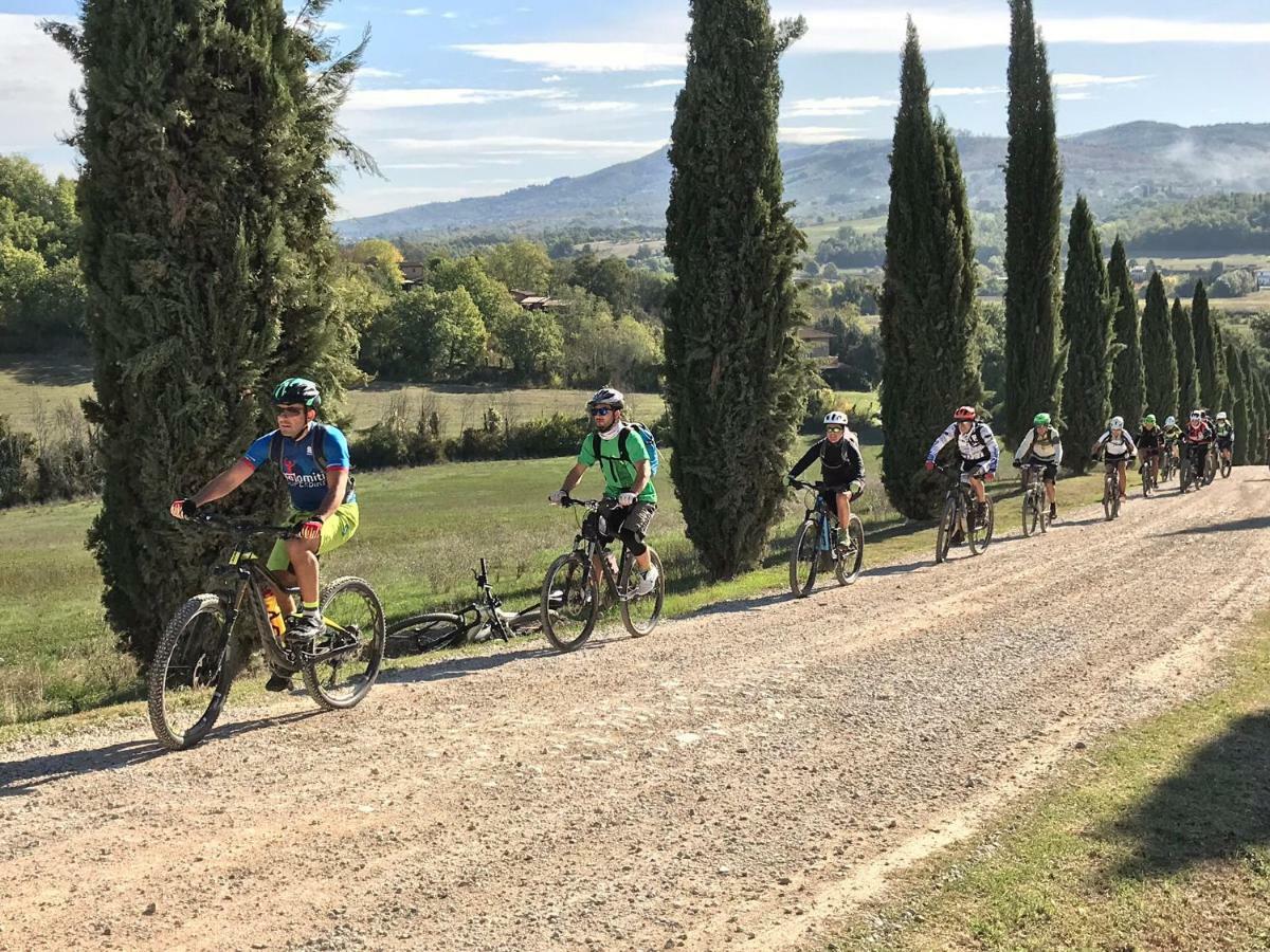 Agriturismo Con Cucina Il Favaio Paciano エクステリア 写真